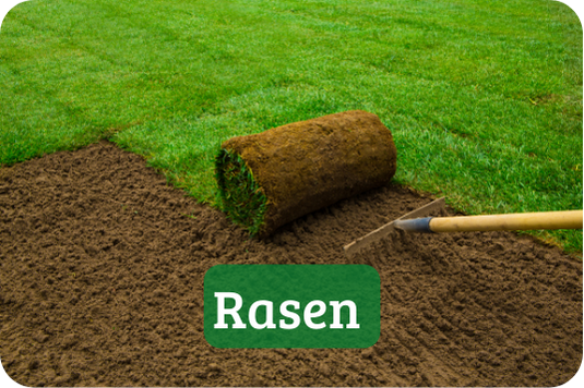 Raseverlegung, Rollrasen, Rasenpflege