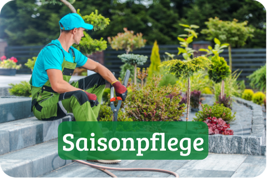 Saisonpflege Garten
