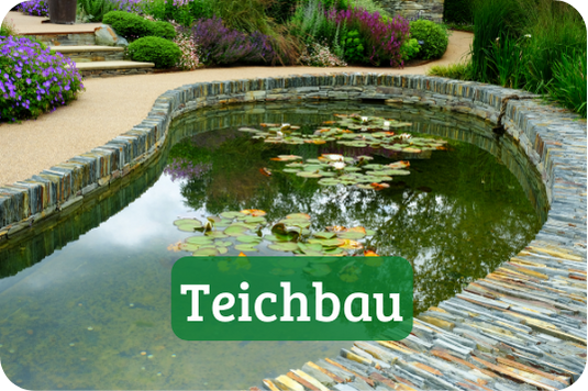 Teichbau