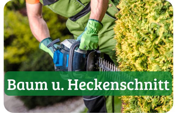 Baum und Heckenschnitt