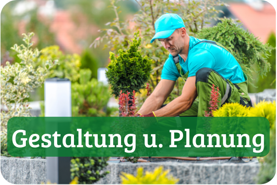 Garten Gestaltung und Planung